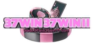 www.37win37win11 - logo